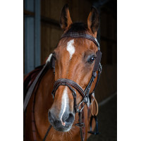 Montanti Focus Dy'on Marrone