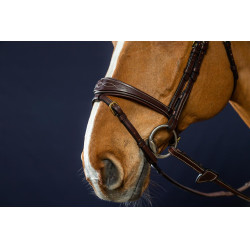 Briglia Capezzina Combinata Anatomica Dy'on D Collection Marrone