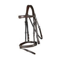 Briglia con Museruola Combinata con Moschettone Dy'on Working Marrone