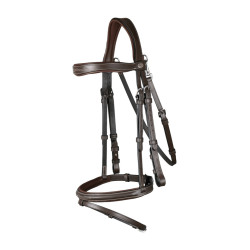 Briglia con Museruola Combinata con Moschettone Dy'on Working Marrone