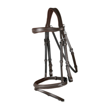 Briglia con Museruola Combinata con Moschettone Dy'on Working Marrone