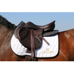 Ammortizzatore Anatomico Assorbente Kentucky Ammortizzatore Anatomico Assorbente Kentucky