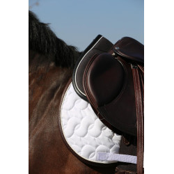 Ammortizzatore Anatomico Assorbente Kentucky Ammortizzatore Anatomico Assorbente Kentucky