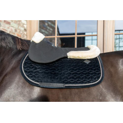 Ammortizzatore Pecora Impact Equalizer Kentucky Ammortizzatore Pecora Impact Equalizer Kentucky