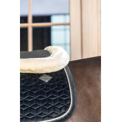 Ammortizzatore Pecora Impact Equalizer Kentucky Ammortizzatore Pecora Impact Equalizer Kentucky