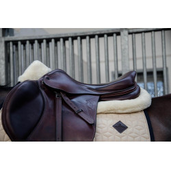 Ammortizzatore Pecora Impact Equalizer Kentucky Ammortizzatore Pecora Impact Equalizer Kentucky