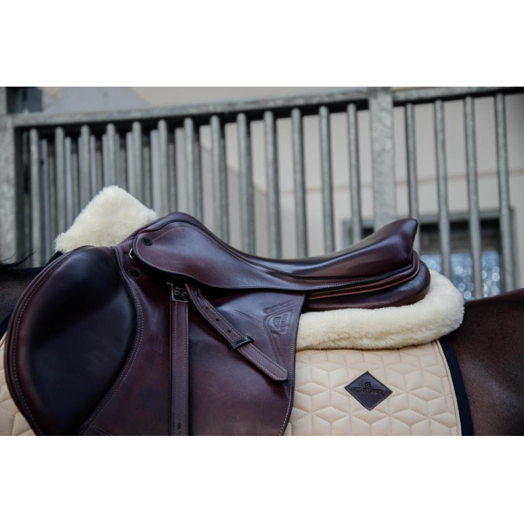 Ammortizzatore Pecora Impact Equalizer Kentucky Ammortizzatore Pecora Impact Equalizer Kentucky