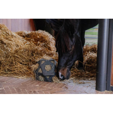 Palla da gioco / palla per fieno Kentucky Grigio