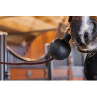 Palla di protezione per attacco Kentucky Nero Palla di protezione per attacco Kentucky Nero