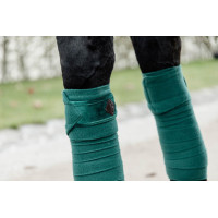 Fasce da polo Polar Fleece Velvet Kentucky Verde scuro