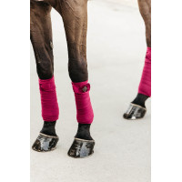 Bandes de polo Polar Fleece Velvet Kentucky Bordeaux