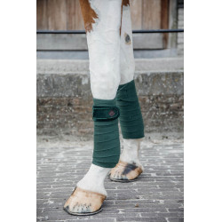 Fasce da polo Polar Fleece Velvet Pearls Kentucky Verde abete