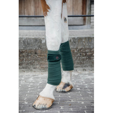 Fasce da polo Polar Fleece Velvet Pearls Kentucky Verde abete