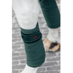 Fasce da polo Polar Fleece Velvet Pearls Kentucky Verde abete Fasce da polo Polar Fleece Velvet Pearls Kentucky Verde abete