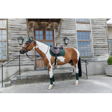 Fasce da polo Polar Fleece Velvet Pearls Kentucky Verde abete Fasce da polo Polar Fleece Velvet Pearls Kentucky Verde abete
