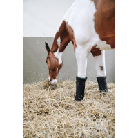 Fasce da riposo Repellent Kentucky Nero