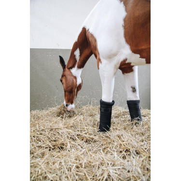 Fasce da riposo Repellent Kentucky Nero Fasce da riposo Repellent Kentucky Nero