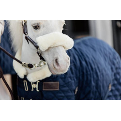 Copertina di presentazione Kentucky Blu navy