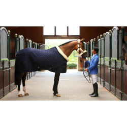 Copertina di presentazione Kentucky Blu navy