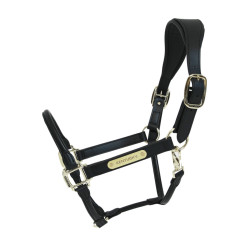 Capezzina Anatomica in Pelle Kentucky Nero