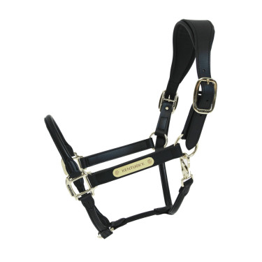 Capezzina Anatomica in Pelle Kentucky Nero