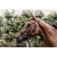 Capezzina Anatomica in Pelle Kentucky Nero