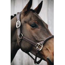 Capezzina Anatomica in Pelle Kentucky Marrone Capezzina Anatomica in Pelle Kentucky Marrone