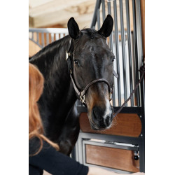 Capezzina Anatomica in Pelle Kentucky Marrone Capezzina Anatomica in Pelle Kentucky Marrone