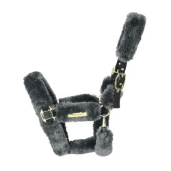 Capezzina da trasporto per pecora Kentucky Grigio