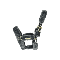 Capezzina da trasporto per pecora Kentucky Grigio Capezzina da trasporto per pecora Kentucky Grigio