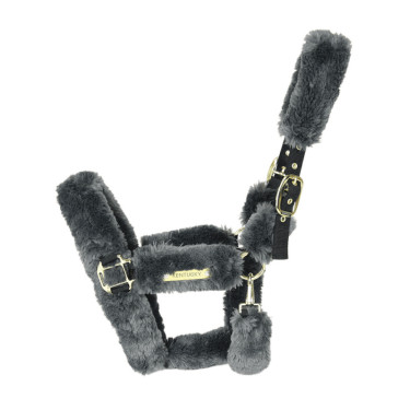 Capezzina da trasporto per pecora Kentucky Grigio