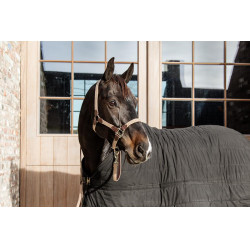 Capezza in nylon intrecciato Kentucky Capezza in nylon intrecciato Kentucky