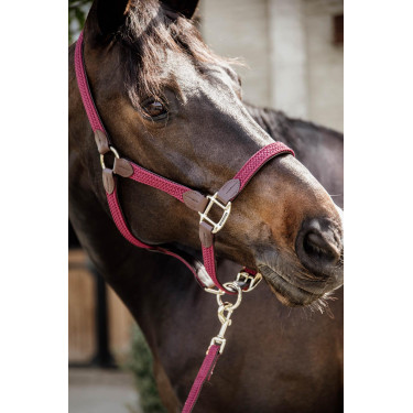 Capezza in nylon intrecciato Kentucky Capezza in nylon intrecciato Kentucky