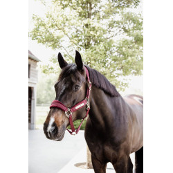 Capezzina Velvet Kentucky Capezzina Velvet Kentucky