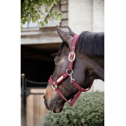Capezzina Velvet Kentucky Capezzina Velvet Kentucky