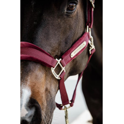 Capezzina Velvet Kentucky Capezzina Velvet Kentucky