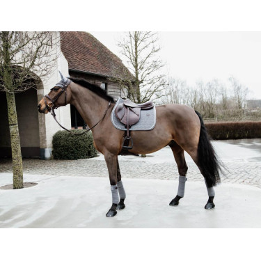 Sottosella Basic Velvet jumping Kentucky Sottosella Basic Velvet jumping Kentucky