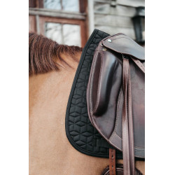Sottosella Classic dressage Kentucky Nero