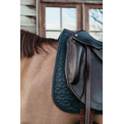 Sottosella Classic dressage Kentucky Sottosella Classic dressage Kentucky