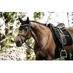 Sottosella Pearls dressage Kentucky Nero