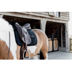 Sottosella Skin Friendly Velvet jumping Kentucky Nero