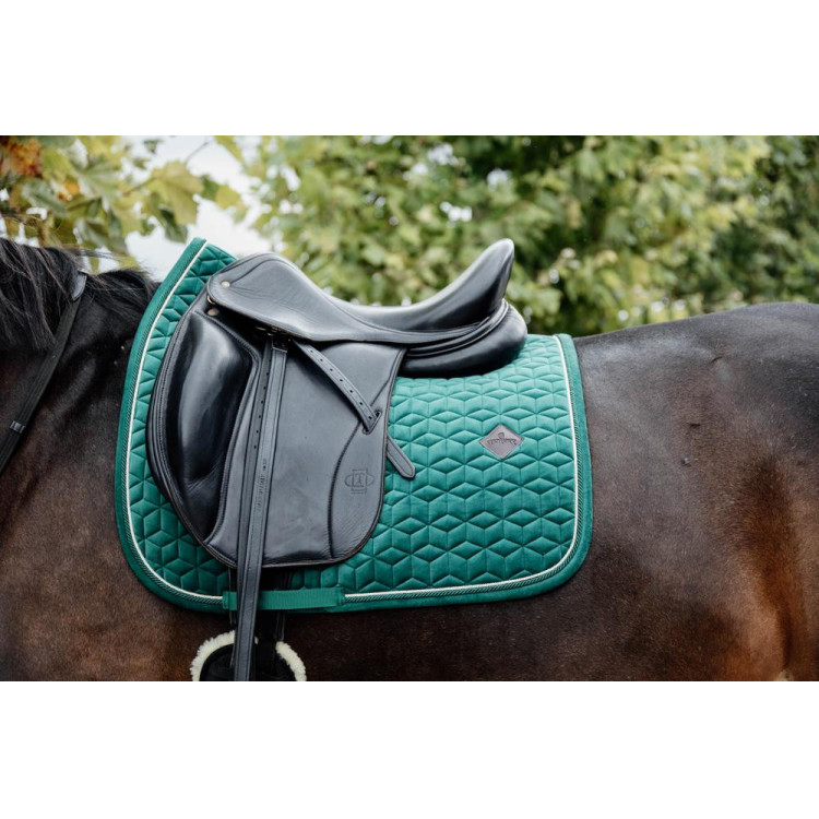 Sottosella Velvet dressage Kentucky