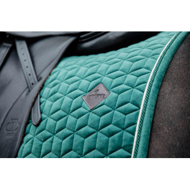 Sottosella Velvet dressage Kentucky Sottosella Velvet dressage Kentucky