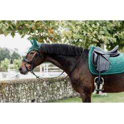 Sottosella Velvet dressage Kentucky Sottosella Velvet dressage Kentucky