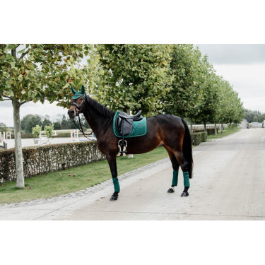 Sottosella Velvet dressage Kentucky Sottosella Velvet dressage Kentucky