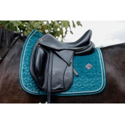 Sottosella Velvet dressage Kentucky