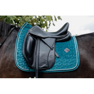 Sottosella Velvet dressage Kentucky