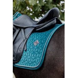Sottosella Velvet dressage Kentucky Sottosella Velvet dressage Kentucky