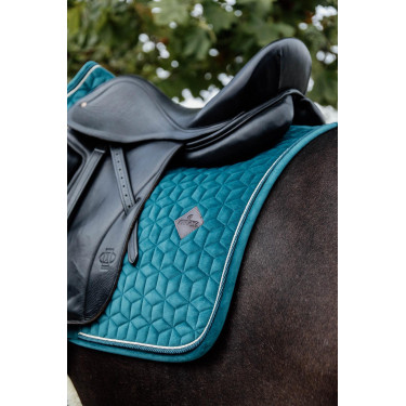 Sottosella Velvet dressage Kentucky Sottosella Velvet dressage Kentucky
