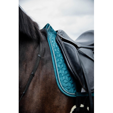 Sottosella Velvet dressage Kentucky Sottosella Velvet dressage Kentucky